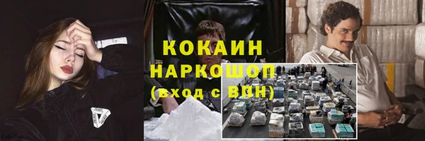 гашик Аркадак