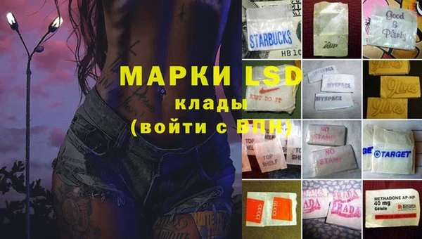 гашик Аркадак